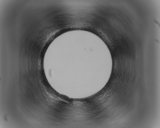 X0000096490636200802211238