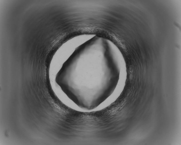 X0000096490637200802211238