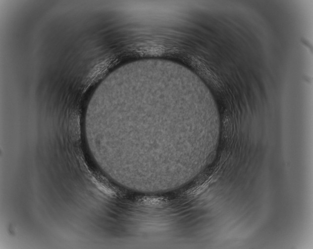 X0000096490638200802211238