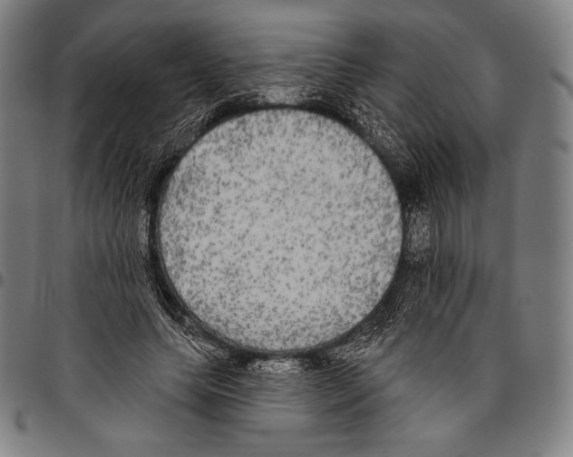 X0000096490639200802211238