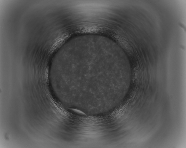 X0000096490640200802211238