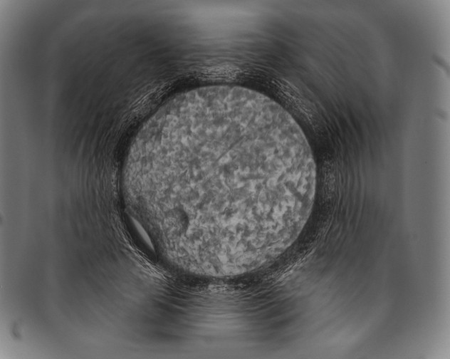 X0000096490641200802211238