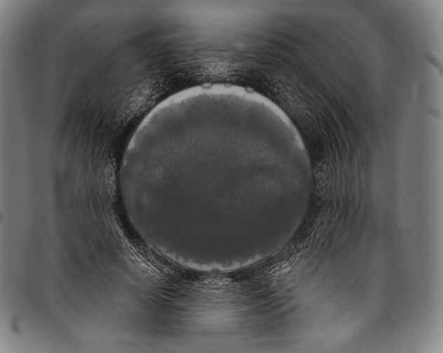 X0000096490642200802211239