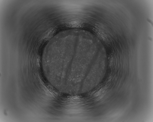 X0000096490643200802211239