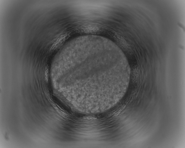 X0000096490644200802211239