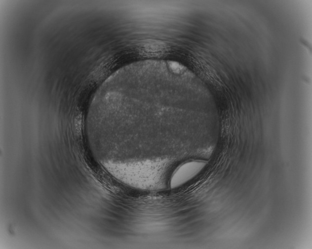 X0000096490647200802211239