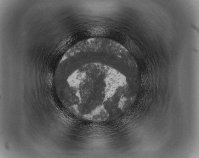 X0000096490648200802211239