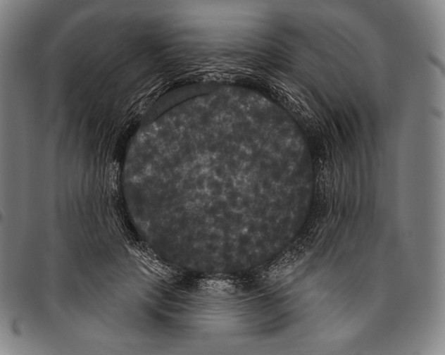 X0000096490649200802211239