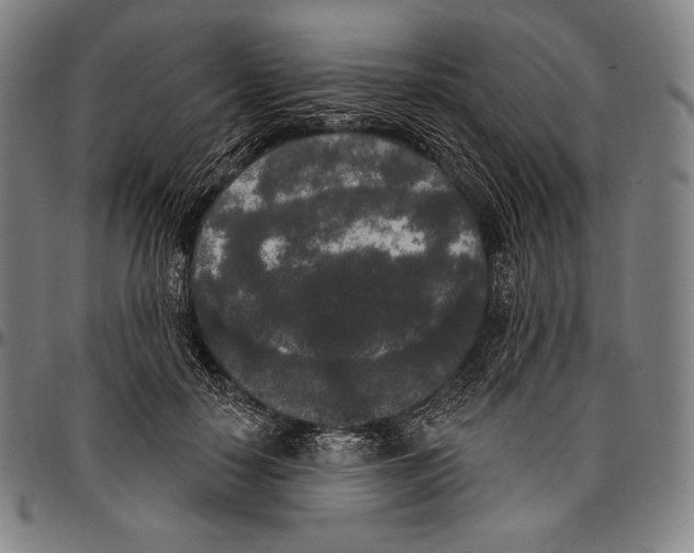 X0000096490650200802211239