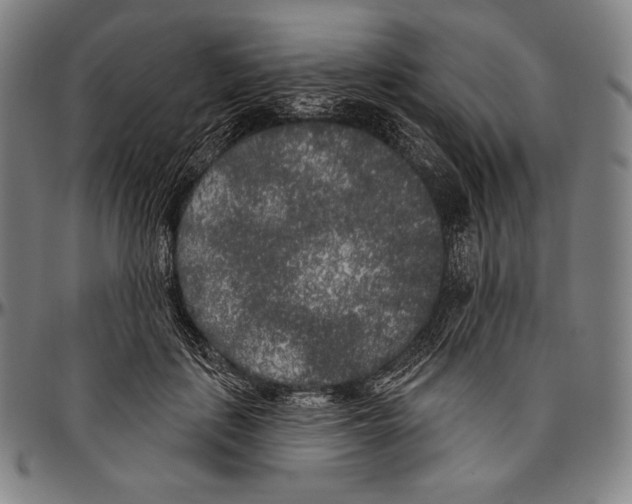 X0000096490651200802211239