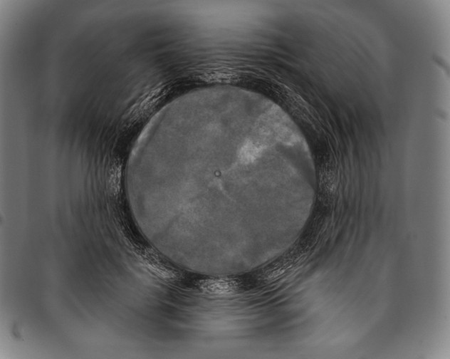 X0000096490652200802211239