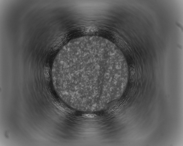 X0000096490654200802211239