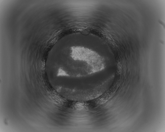 X0000096490657200802211239