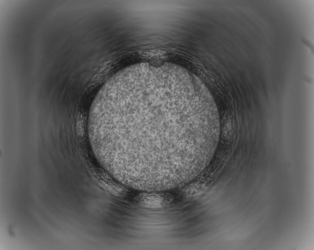 X0000096490658200802211239