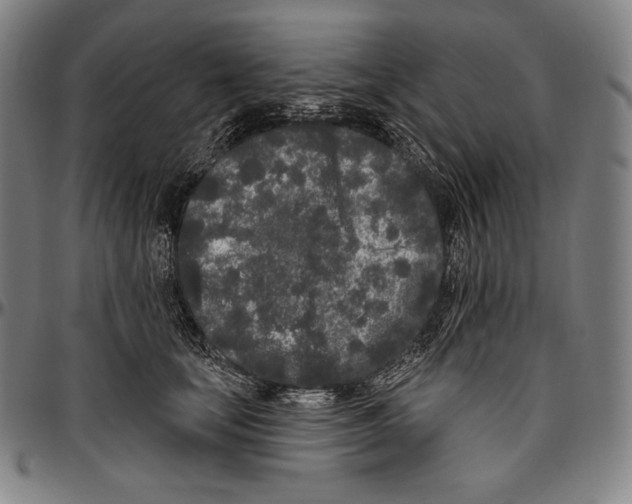 X0000096490659200802211239