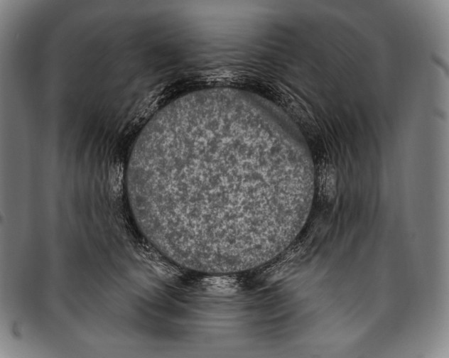 X0000096490660200802211239