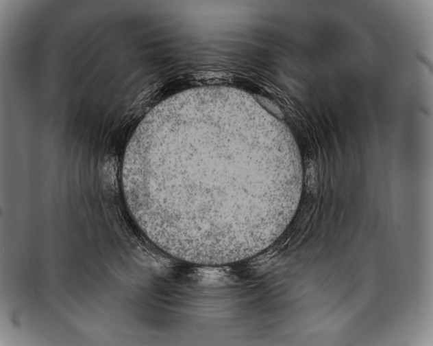 X0000096490662200802211239