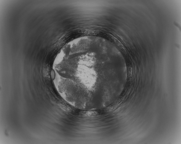 X0000096490663200802211239