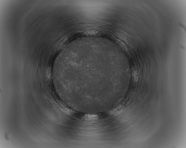 X0000096490665200802211239