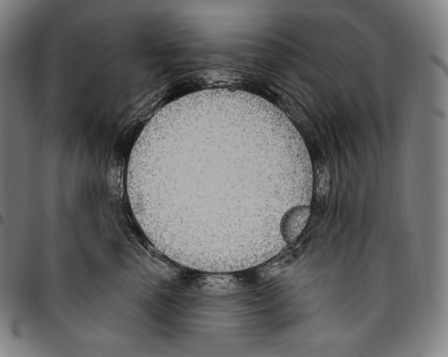 X0000096490666200802211239