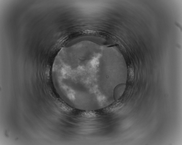 X0000096490668200802211239