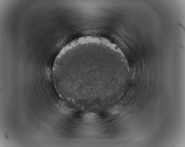 X0000096490669200802211239