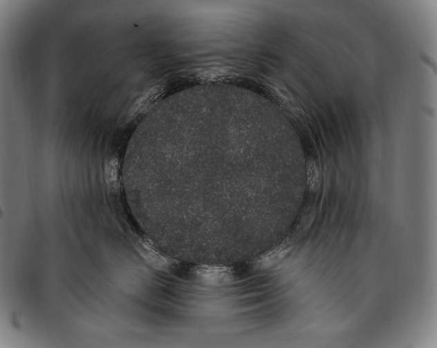 X0000096490670200802211239