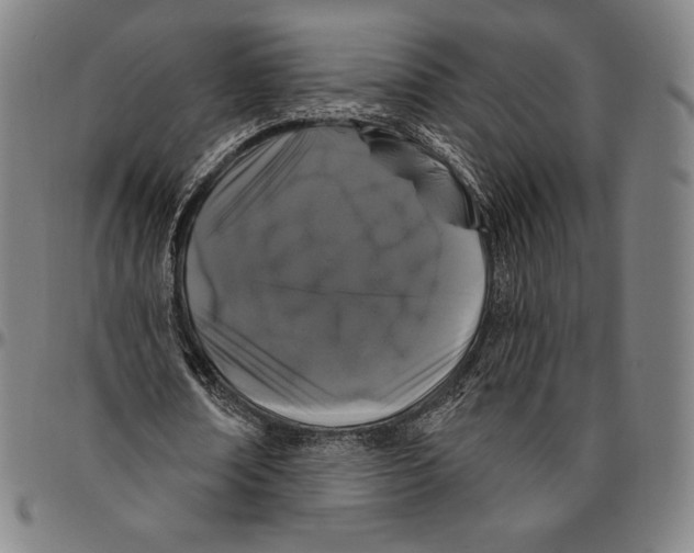 X0000096490674200802211238