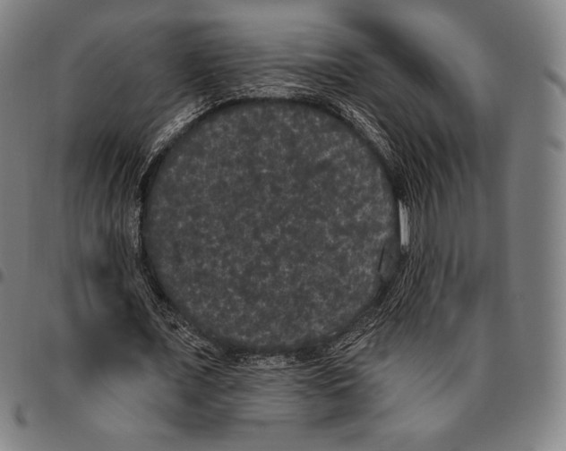 X0000096490675200802211238