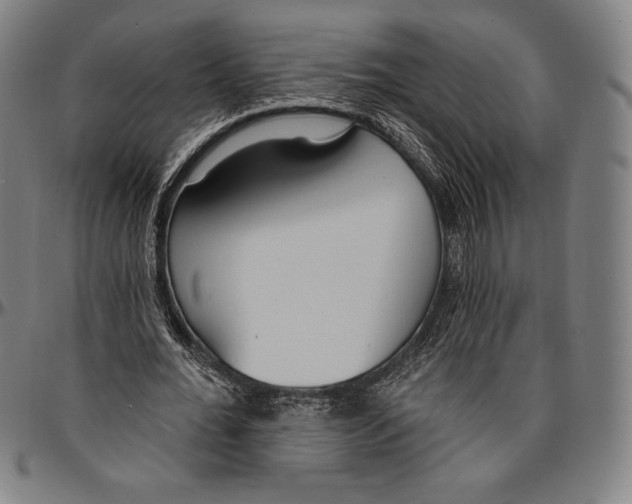 X0000096490676200802211238