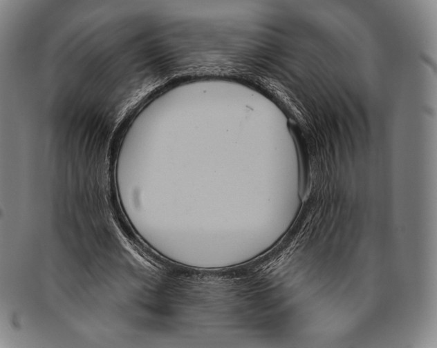 X0000096490677200802211238