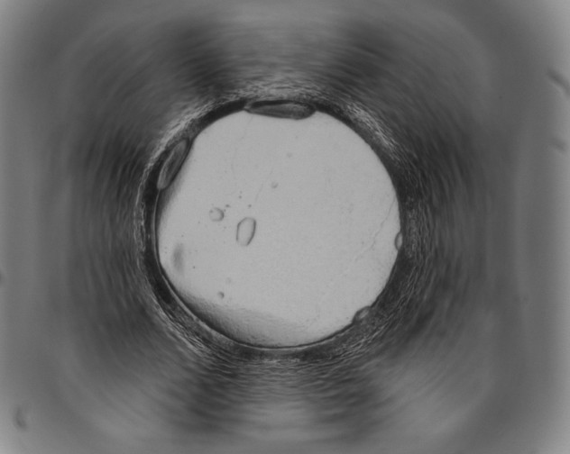 X0000096490680200802211238