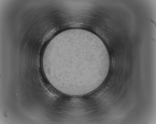 X0000096490682200802211238