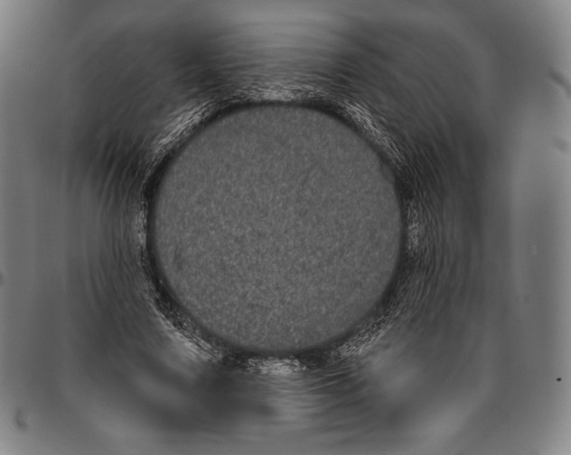 X0000096490683200802211238