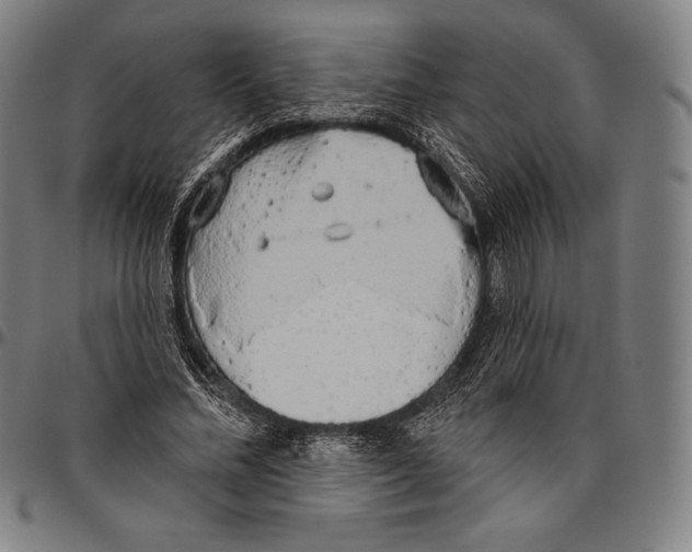 X0000096490684200802211238