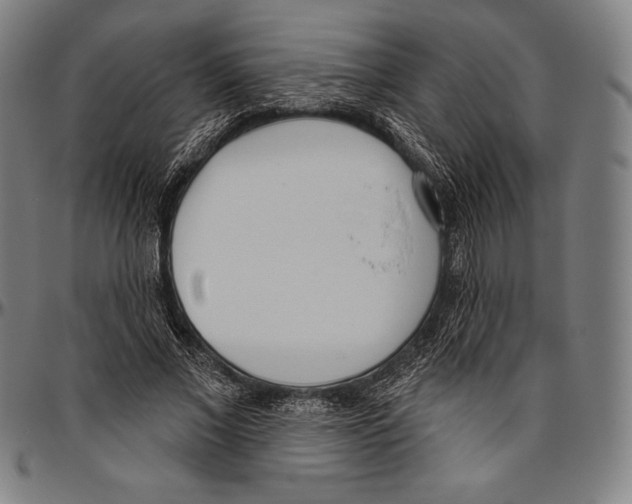 X0000096490685200802211238