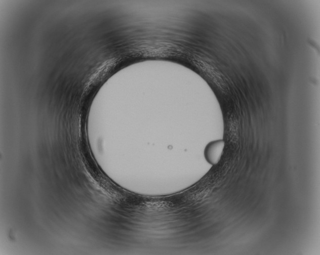 X0000096490686200802211238