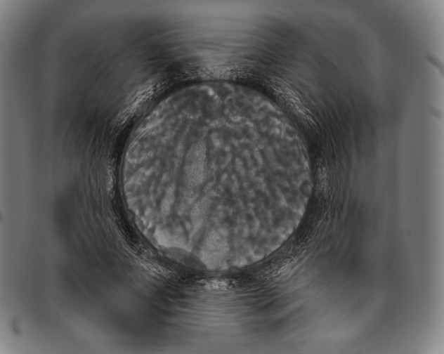 X0000096490687200802211238