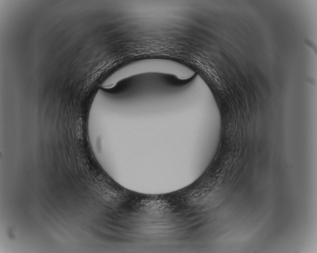 X0000096490689200802211238