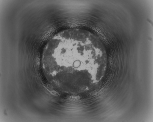 X0000096490691200802211238