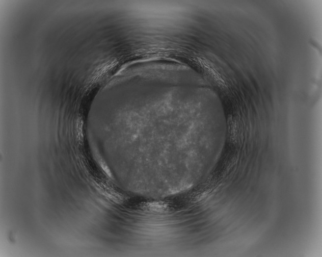 X0000096490692200802211238