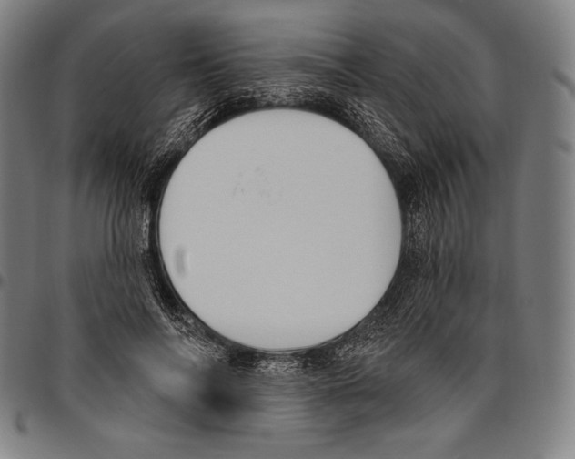 X0000096490694200802211238