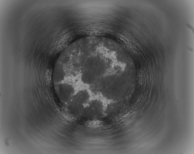 X0000096490695200802211238