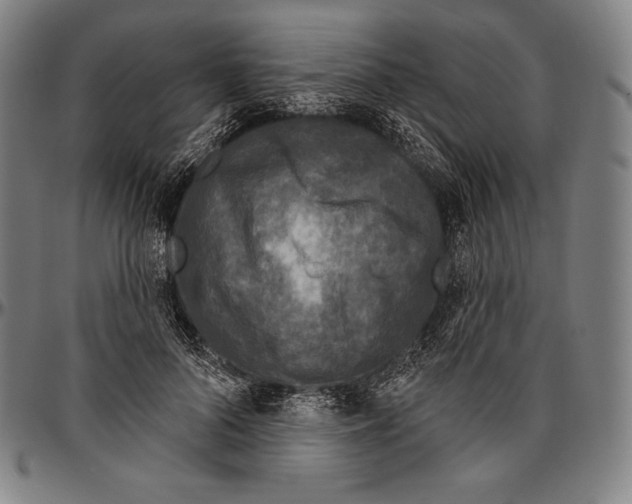 X0000096490696200802211238