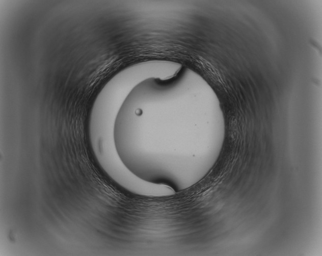 X0000096490697200802211238