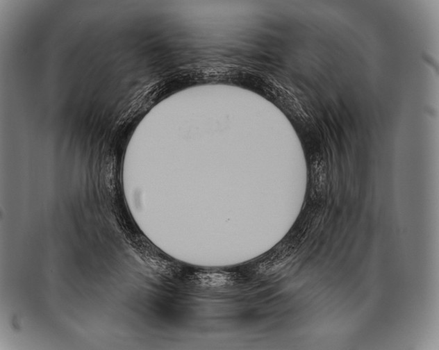 X0000096490698200802211238