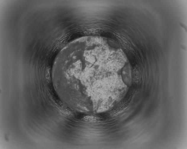 X0000096490699200802211238