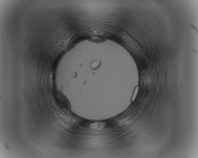 X0000096490700200802211238