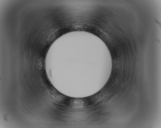 X0000096490702200802211238