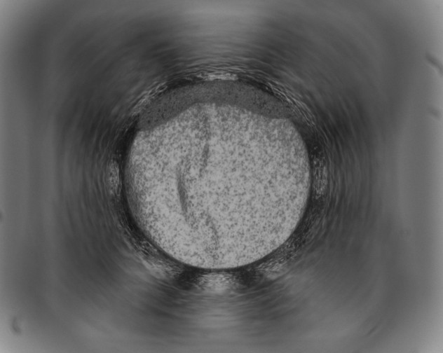 X0000096490704200802211238